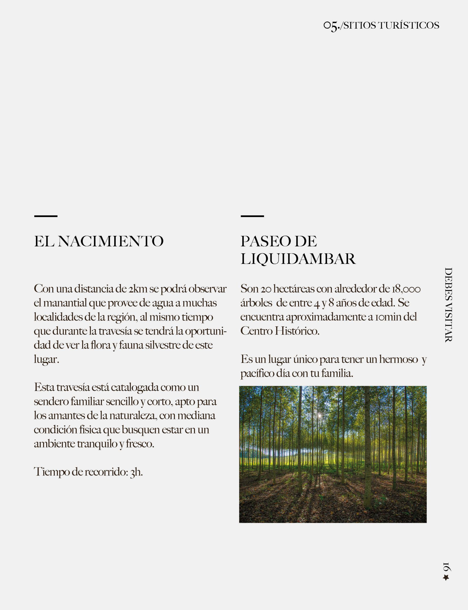 El Nacimiento y el Paseo del Liquidámbar