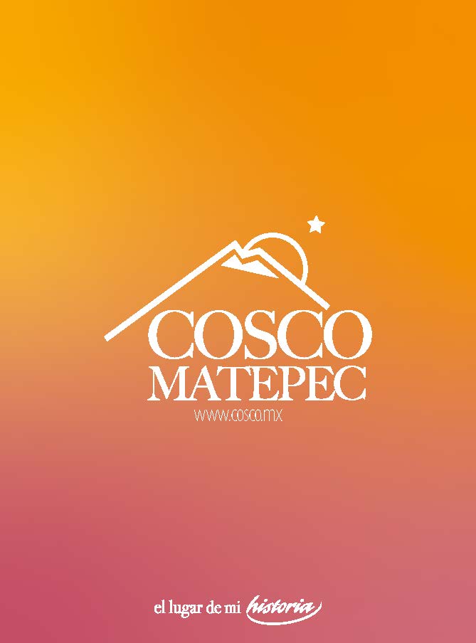 Construcción visual de la identidad de Coscomatepec